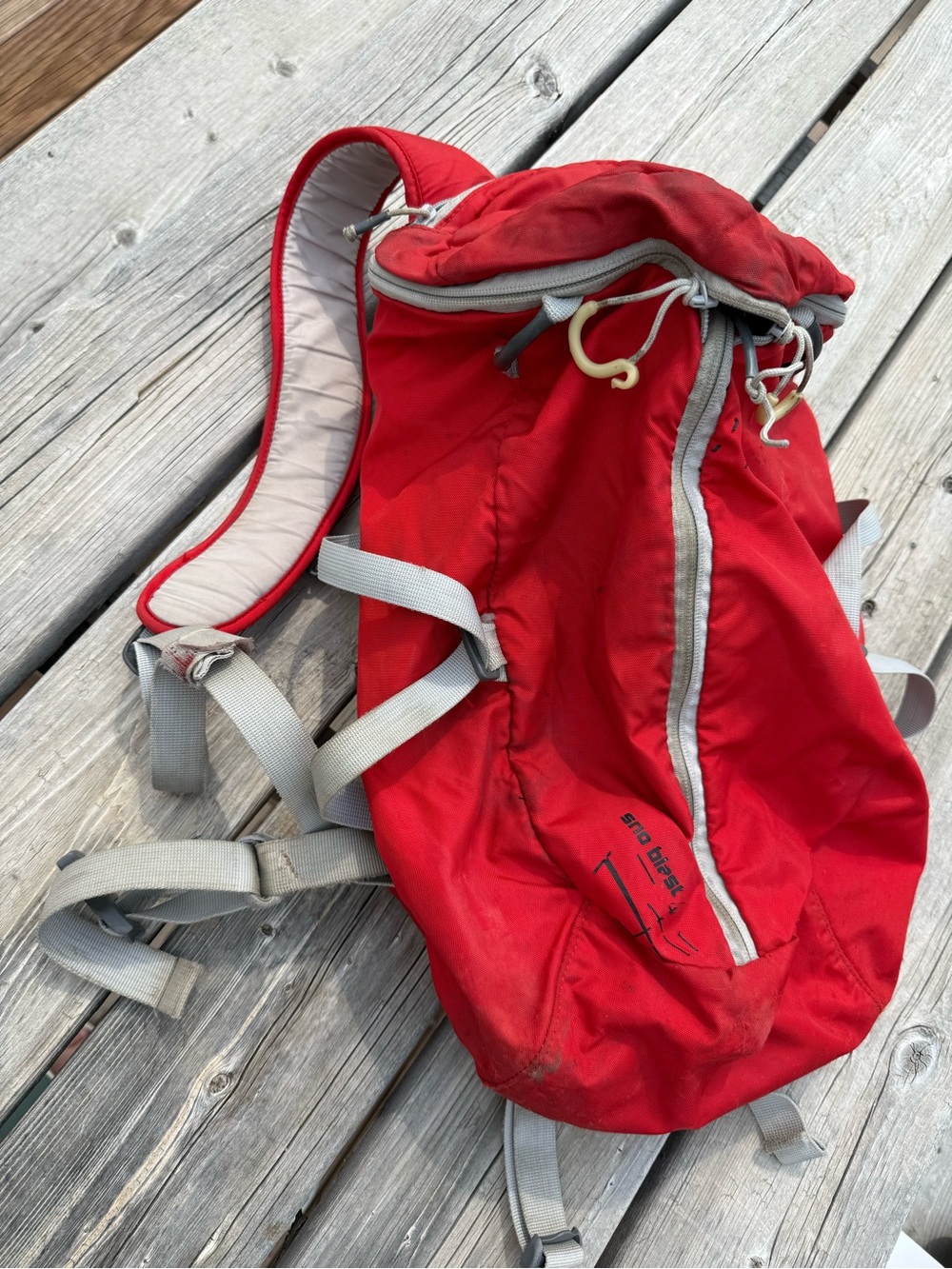 Camelbak Red Daypack Backpack with Gray Straps